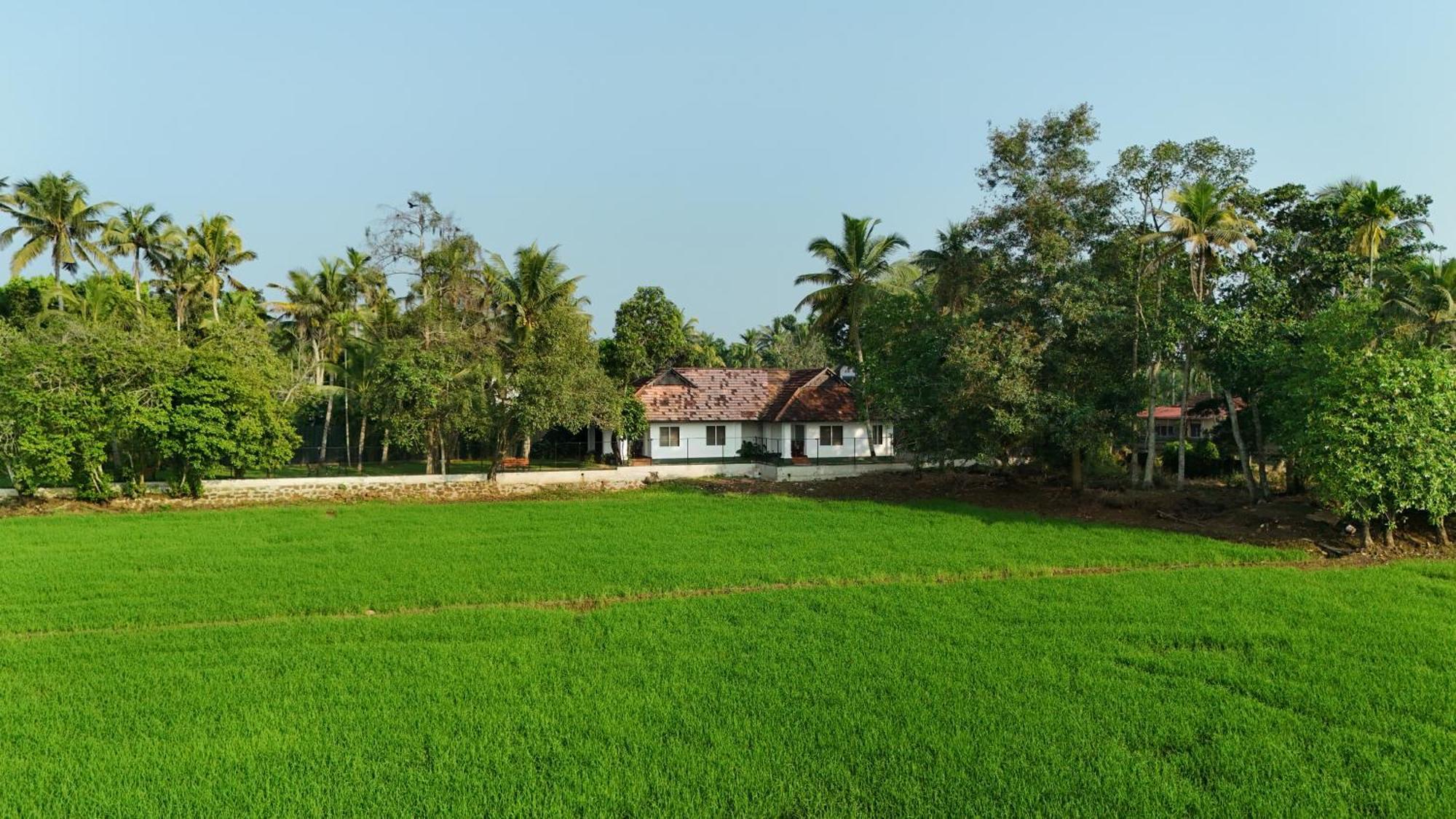 Paadam By The Backwaters Kumarakom Dış mekan fotoğraf